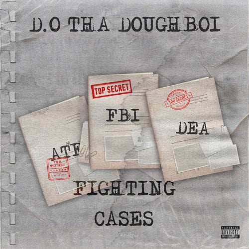 Fighting Cases