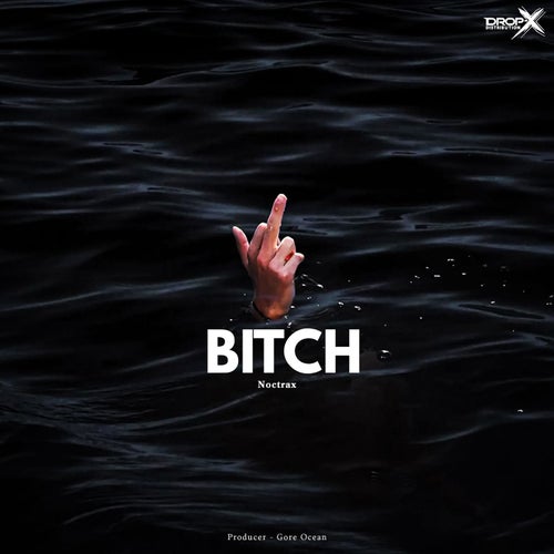 Bitch