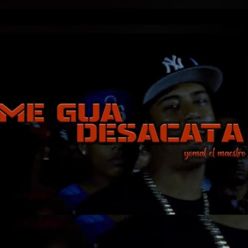 Me Gua Desacata