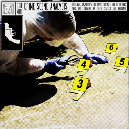 Crime Scene Analysis