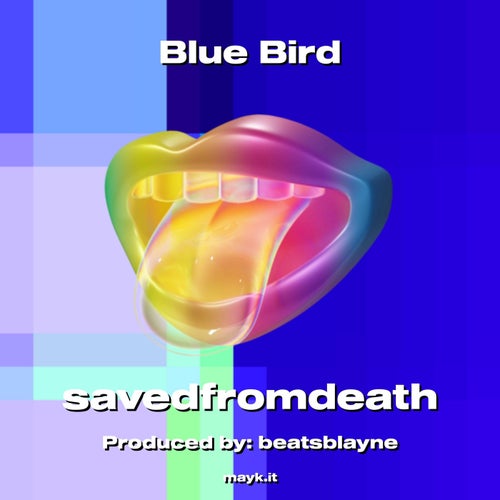 Blue Bird