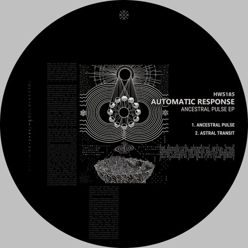 Release of the week