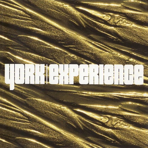 Experience