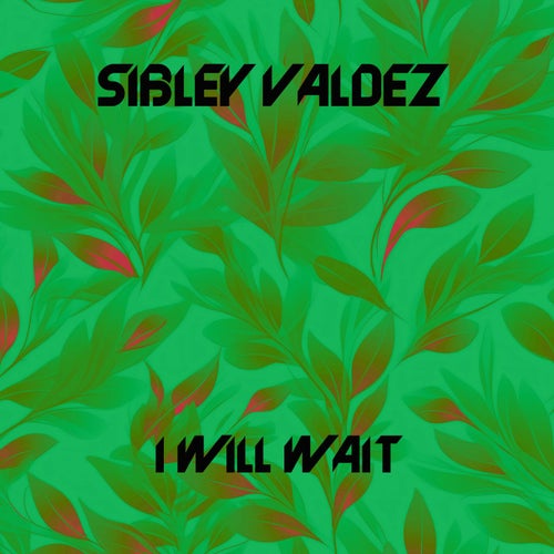 I Will Wait