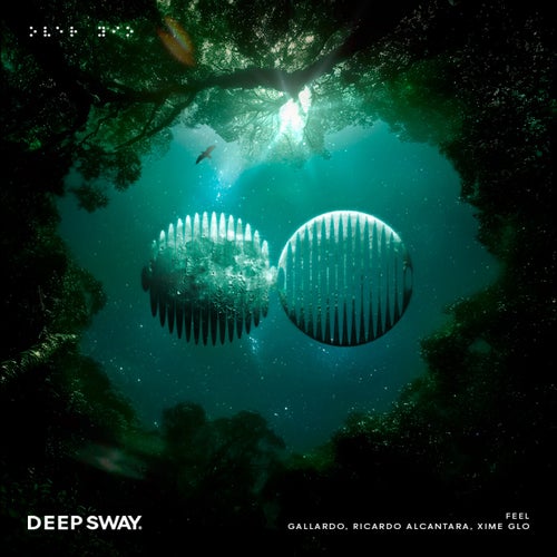 Release of the week