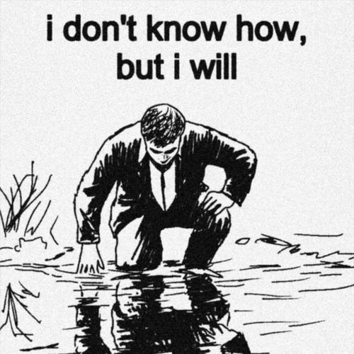 Si o no