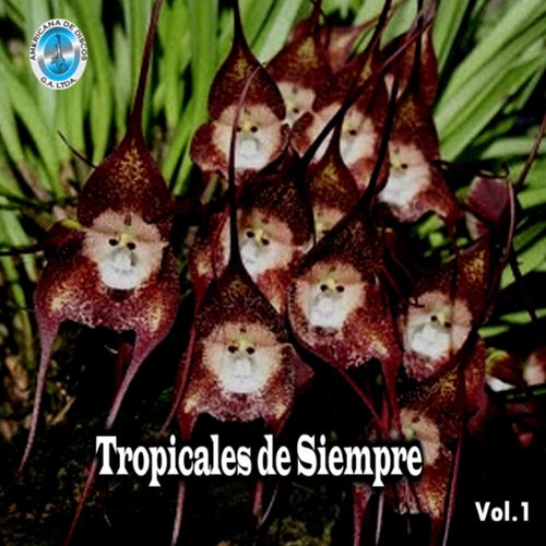 Tropicales de Siempre, Vol. 1