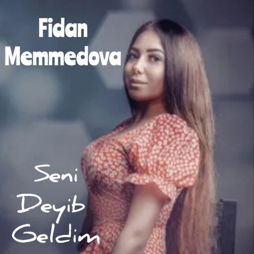 Seni Deyib Geldim