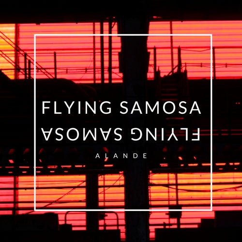 Flying Samosa