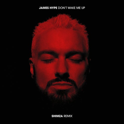Don't Wake Me Up (Shimza Extended Mix)