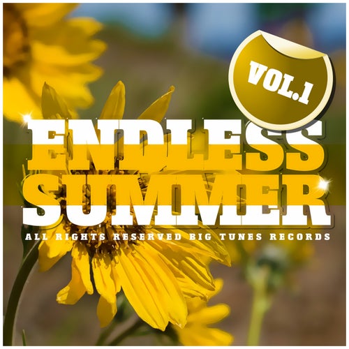 Endless Summer, Vol. 1