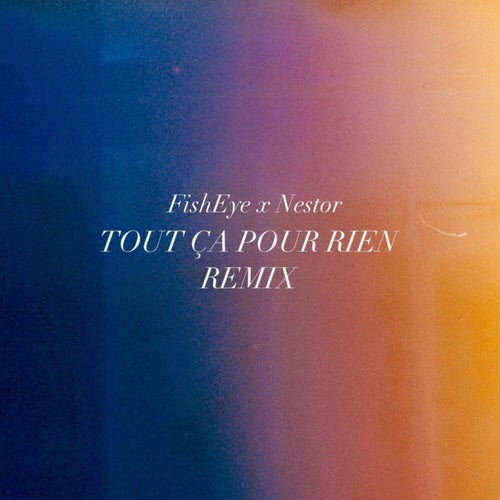 Tout ça pour rien (Remix)