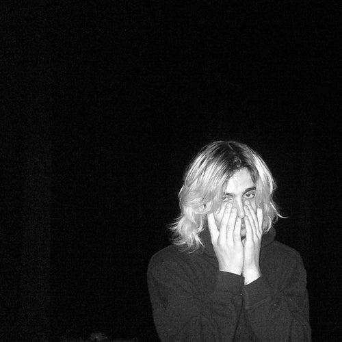 everything was beautiful and nothing hurt