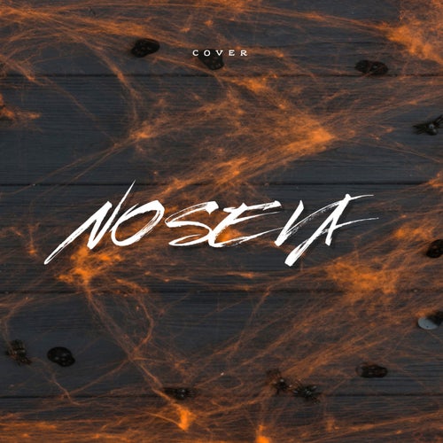 No Se Va (Cover)