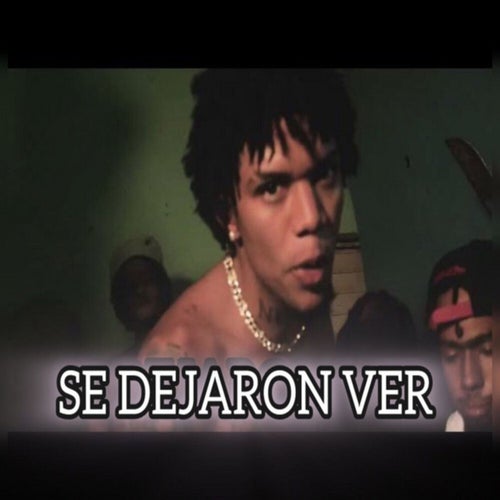 Se Dejaron Ver