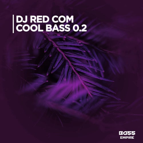 Cool Bass 0.2