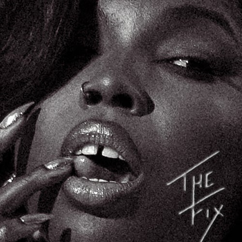 The Fix