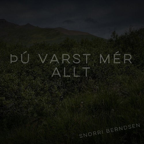 Þú varst mér allt