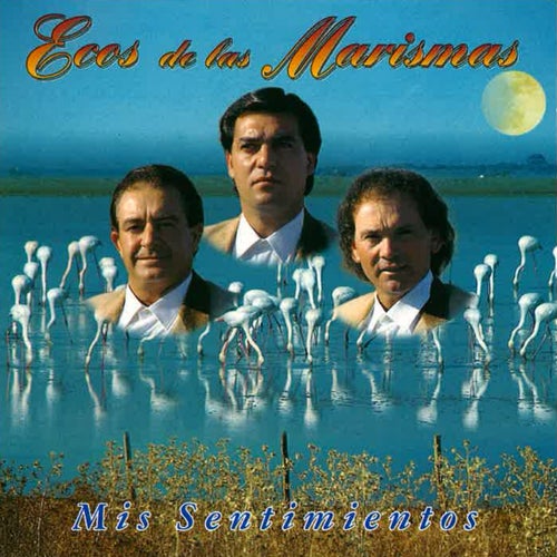 Mis Sentimientos