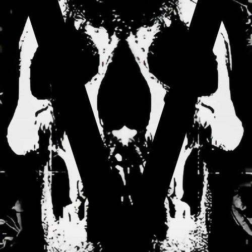 V-TRIADS