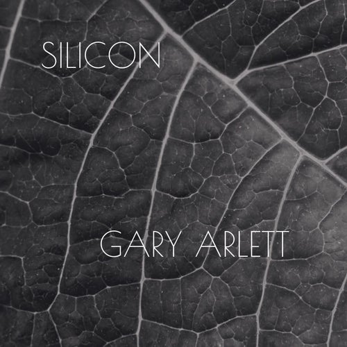 Silicon
