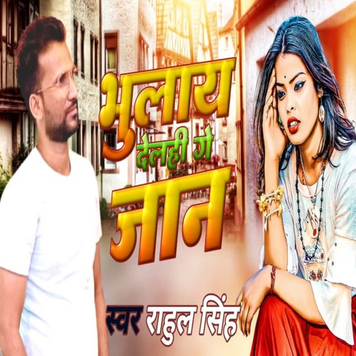 Bhulay Delhi Ge Jan