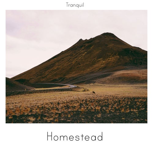 Tranquil