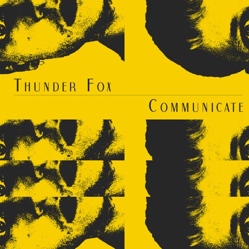 Communicate