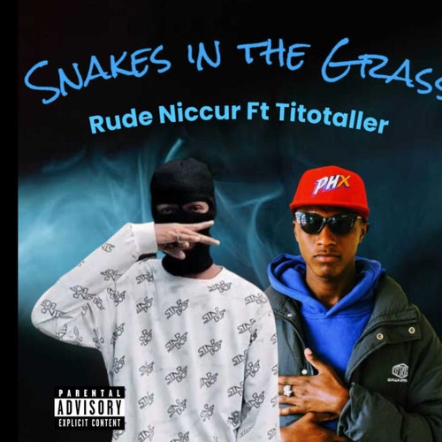 Release of the week