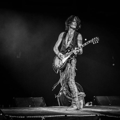 Joe Perry Profile