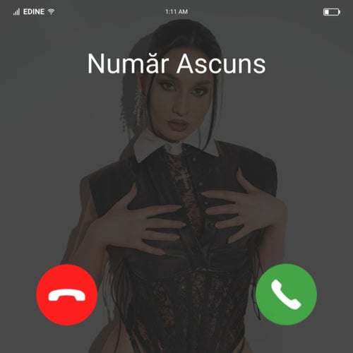 Număr ascuns
