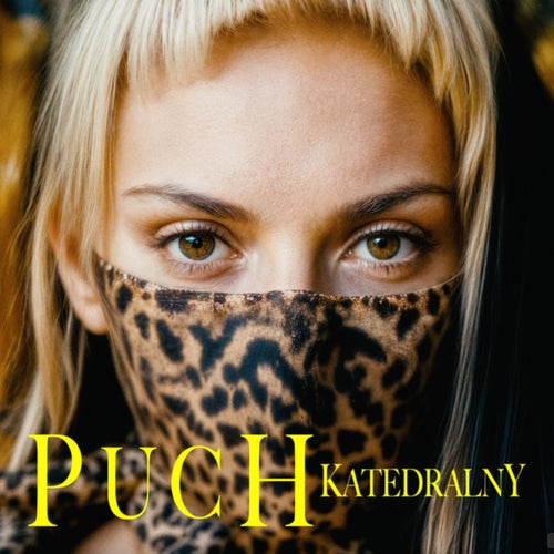 PUCH Katedralny