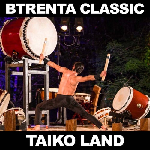 Taiko Land