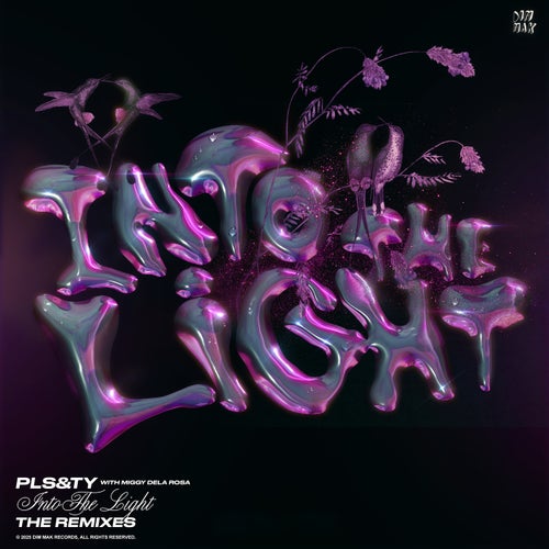 Into The Light (Extended Remixes)