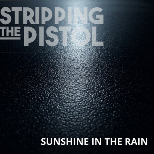Sunshine In The Rain
