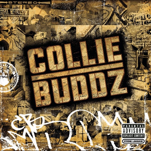 Collie Buddz Profile