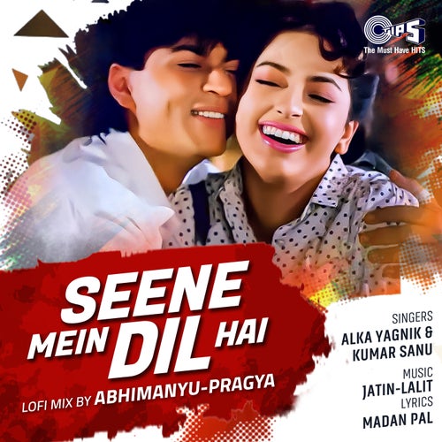 Seene Mein Dil Hai (Lofi Mix)