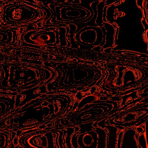 FUCK/I LOVE ME