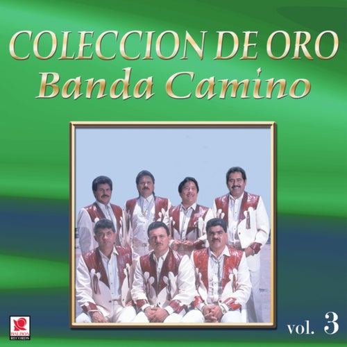 Colección De Oro, Vol. 3