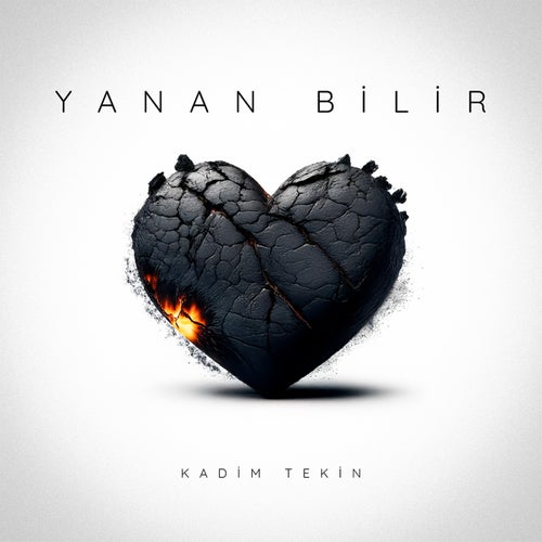 Yanan Bilir