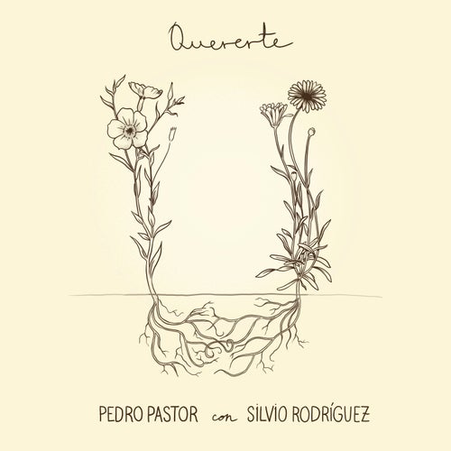 Quererte