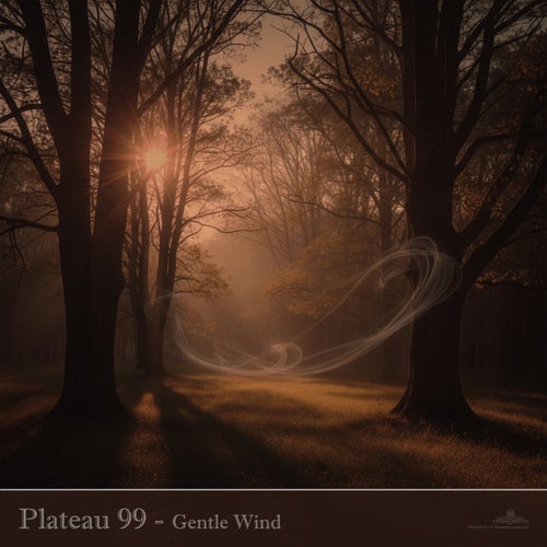 Gentle Wind