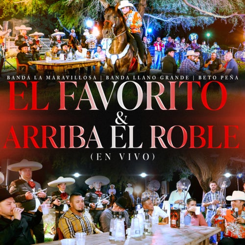 El Favorito & Arriba el Roble