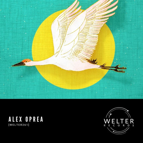 [WELTER261]