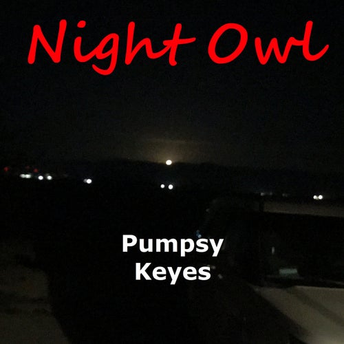 Night Owl