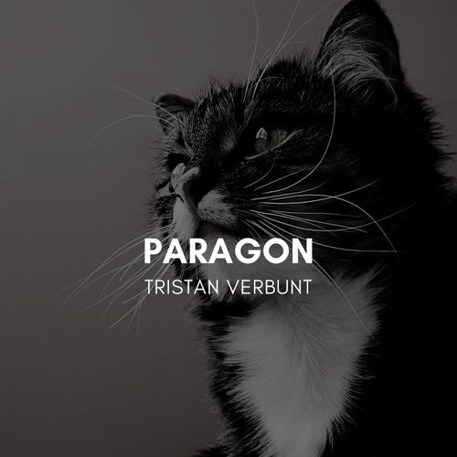 Paragon