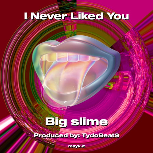 I Never Liked You