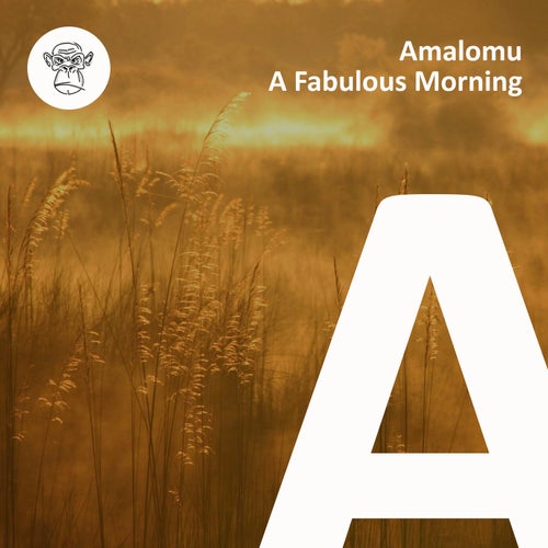 A Fabulous Morning