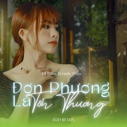 Đơn Phương Là Tổn Thương (DJ Bibo Remix)