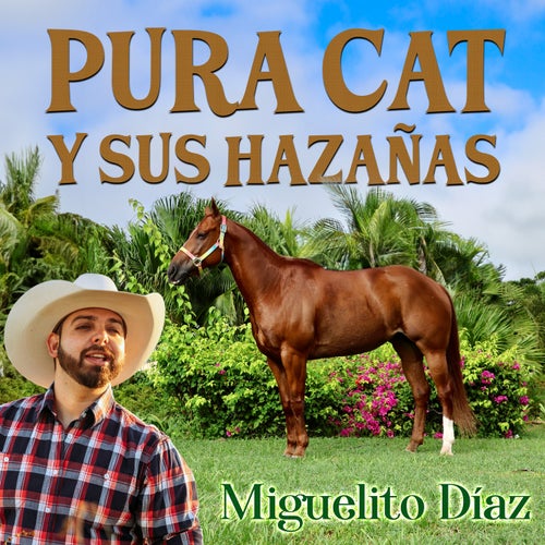 Pura Cat y sus Hazañas